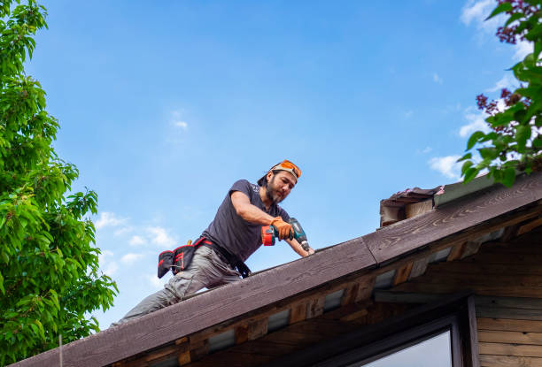 Best Roofing for New Construction  in Brooklyn Center, MN